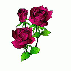 Rose!